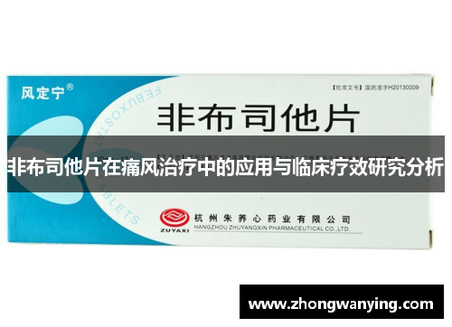 非布司他片在痛风治疗中的应用与临床疗效研究分析